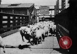 Image of Chicago stockyards Chicago Illinois USA, 1897, second 4 stock footage video 65675071534