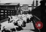 Image of Chicago stockyards Chicago Illinois USA, 1897, second 8 stock footage video 65675071534