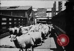 Image of Chicago stockyards Chicago Illinois USA, 1897, second 9 stock footage video 65675071534