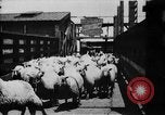 Image of Chicago stockyards Chicago Illinois USA, 1897, second 12 stock footage video 65675071534