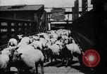 Image of Chicago stockyards Chicago Illinois USA, 1897, second 16 stock footage video 65675071534