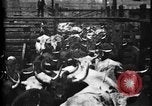Image of Cattle to slaughter Chicago Illinois USA, 1897, second 13 stock footage video 65675071535
