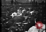 Image of Cattle to slaughter Chicago Illinois USA, 1897, second 16 stock footage video 65675071535