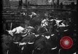 Image of Cattle to slaughter Chicago Illinois USA, 1897, second 18 stock footage video 65675071535