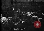 Image of Cattle to slaughter Chicago Illinois USA, 1897, second 19 stock footage video 65675071535