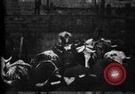 Image of Cattle to slaughter Chicago Illinois USA, 1897, second 20 stock footage video 65675071535