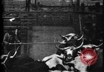 Image of Cattle to slaughter Chicago Illinois USA, 1897, second 23 stock footage video 65675071535