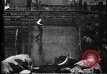 Image of Cattle to slaughter Chicago Illinois USA, 1897, second 25 stock footage video 65675071535
