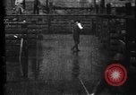 Image of Cattle to slaughter Chicago Illinois USA, 1897, second 28 stock footage video 65675071535