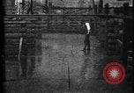 Image of Cattle to slaughter Chicago Illinois USA, 1897, second 32 stock footage video 65675071535