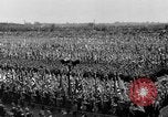 Image of German troops marching on a rough field Germany, 1933, second 45 stock footage video 65675071553