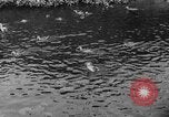 Image of Kaiser Wilhelm II in exile Holland, 1922, second 11 stock footage video 65675071555