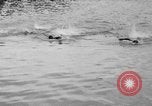 Standbild schwimmen Rennen Hawaii USA, 1916, aus Sekunde 14 historischem Filmmaterial Videoclip 65675071572