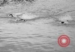 Standbild schwimmen Rennen Hawaii USA, 1916, aus Sekunde 15 historischem Filmmaterial Videoclip 65675071572