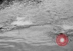 Standbild schwimmen Rennen Hawaii USA, 1916, aus Sekunde 17 historischem Filmmaterial Videoclip 65675071572