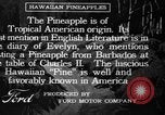 Standbild Ananas Hawaii USA, 1916, aus Sekunde 1 historischem Filmmaterial Videoclip 65675071573
