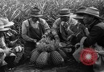 Standbild Ananas Hawaii USA, 1916, aus Sekunde 20 historischem Filmmaterial Videoclip 65675071573