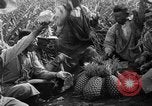 Standbild Ananas Hawaii USA, 1916, aus Sekunde 35 historischem Filmmaterial Videoclip 65675071573