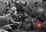 Standbild Ananas Hawaii USA, 1916, aus Sekunde 36 historischem Filmmaterial Videoclip 65675071573