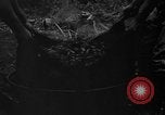 Image of taros Hawaii USA, 1916, second 13 stock footage video 65675071575