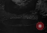 Image of taros Hawaii USA, 1916, second 14 stock footage video 65675071575