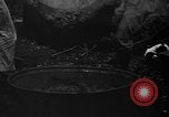Image of taros Hawaii USA, 1916, second 15 stock footage video 65675071575