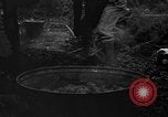 Image of taros Hawaii USA, 1916, second 19 stock footage video 65675071575