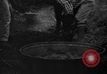 Image of taros Hawaii USA, 1916, second 20 stock footage video 65675071575
