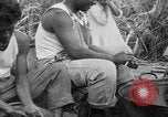 Image of taros Hawaii USA, 1916, second 50 stock footage video 65675071575