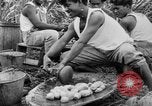 Image of taros Hawaii USA, 1916, second 51 stock footage video 65675071575