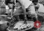 Image of taros Hawaii USA, 1916, second 53 stock footage video 65675071575