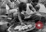 Image of taros Hawaii USA, 1916, second 54 stock footage video 65675071575