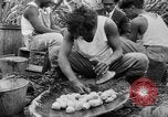 Image of taros Hawaii USA, 1916, second 55 stock footage video 65675071575