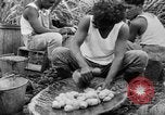Image of taros Hawaii USA, 1916, second 57 stock footage video 65675071575
