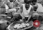 Image of taros Hawaii USA, 1916, second 58 stock footage video 65675071575