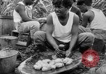Image of taros Hawaii USA, 1916, second 59 stock footage video 65675071575