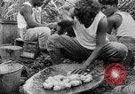 Image of taros Hawaii USA, 1916, second 60 stock footage video 65675071575