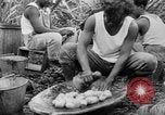 Image of taros Hawaii USA, 1916, second 61 stock footage video 65675071575