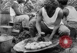 Image of taros Hawaii USA, 1916, second 62 stock footage video 65675071575