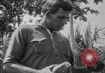 Image of papaya tree Hawaii USA, 1916, second 40 stock footage video 65675071576