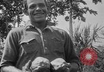 Image of papaya tree Hawaii USA, 1916, second 45 stock footage video 65675071576
