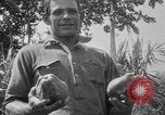 Image of papaya tree Hawaii USA, 1916, second 51 stock footage video 65675071576