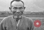 Image of water buffalo Hawaii USA, 1916, second 1 stock footage video 65675071577