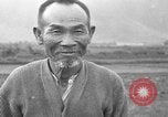 Image of water buffalo Hawaii USA, 1916, second 3 stock footage video 65675071577