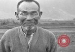 Image of water buffalo Hawaii USA, 1916, second 4 stock footage video 65675071577