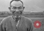 Image of water buffalo Hawaii USA, 1916, second 8 stock footage video 65675071577