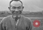 Image of water buffalo Hawaii USA, 1916, second 9 stock footage video 65675071577