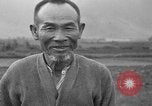 Image of water buffalo Hawaii USA, 1916, second 10 stock footage video 65675071577