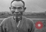 Image of water buffalo Hawaii USA, 1916, second 15 stock footage video 65675071577