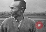 Image of water buffalo Hawaii USA, 1916, second 16 stock footage video 65675071577